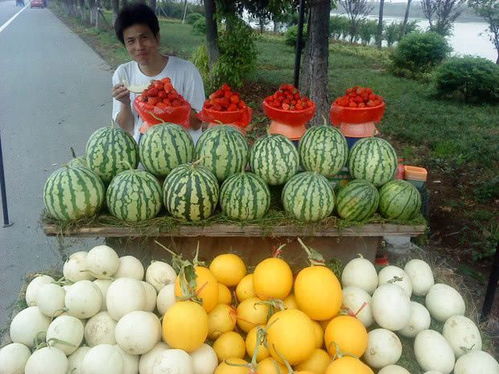 水果摊做什么生意赚钱呢 水果摆摊赚钱吗