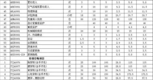 整形加盟项目费用表格图片