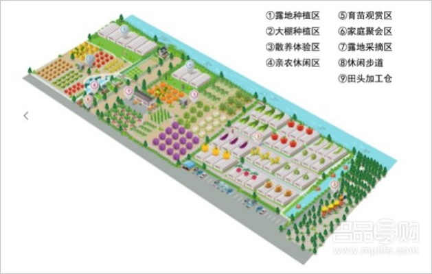 立体农场项目加盟方案模板