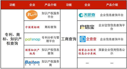 最新加盟项目经营，理解、分析与策略