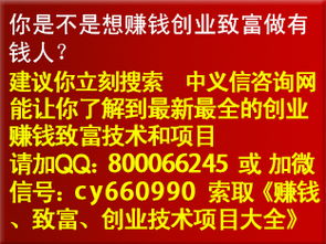 安徽赚钱加盟火爆项目公司