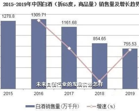 酒类加盟项目解析与前景展望