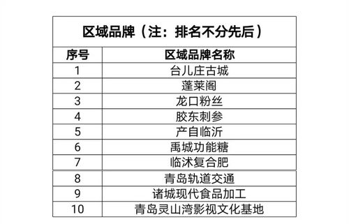 山东品牌减肥加盟项目排名