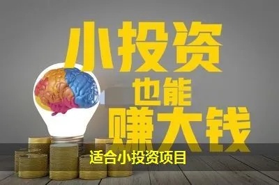 投资小项目加盟赚钱吗？