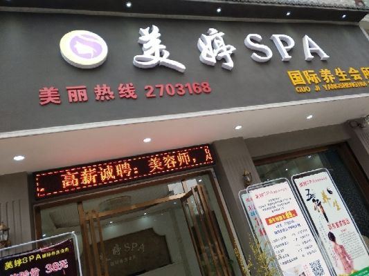 邵阳美容项目加盟店的市场分析与发展策略