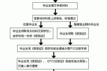 家庭手工加工项目加盟，创造额外收入的理想选择