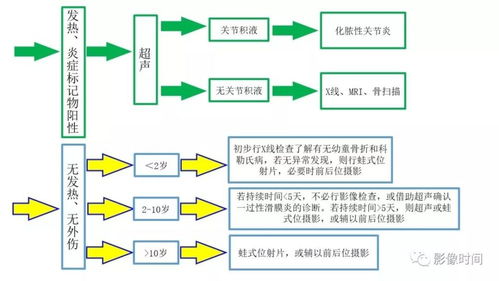 儿童摄影加盟项目流程表