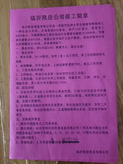 临沂最新食品加盟项目招聘，食品加盟的新机遇