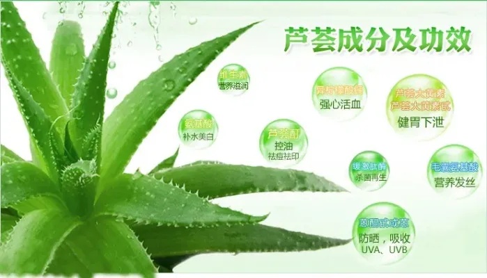 衡阳芦荟招商加盟项目电话