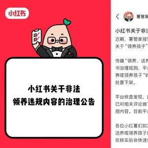 微信分付24小时套出来啊——违法犯罪行为解析