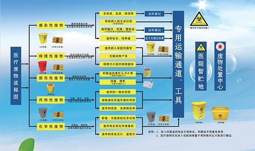 医疗加盟项目流程图