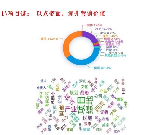 中国营销加盟代理项目，探索与发展