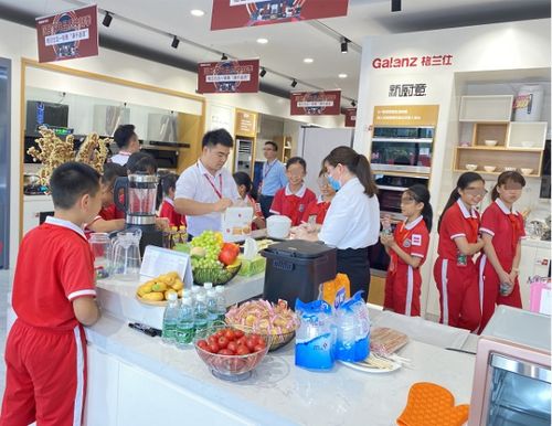 无油烟加盟项目，打造健康餐饮新风尚