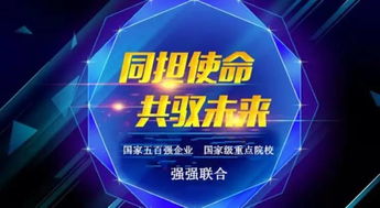 互联网项目加盟方案，共创双赢的未来