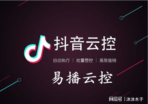 抖音app项目合作加盟，共创未来，分享成功