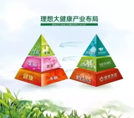 健康食品创业项目加盟，实现你的健康事业梦想