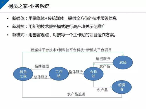 南平致富项目加盟公司排名