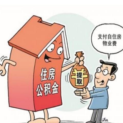 住房公积金取现，详细指南与策略