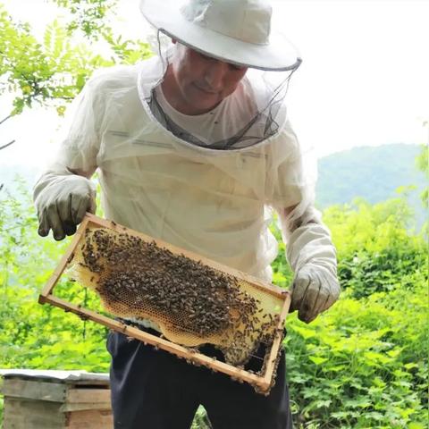 陕西致富项目加盟公司电话