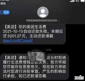 美团月付套出来秒回信息，违法犯罪行为