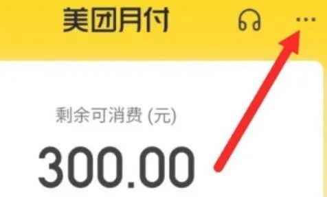 美团月付买什么可以套出来金