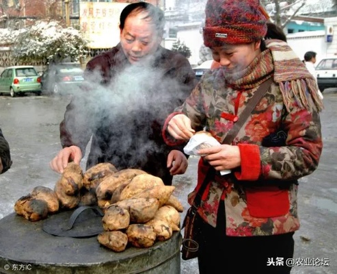 冬天女孩子做什么生意赚钱 冬天建议女孩做什么小生意