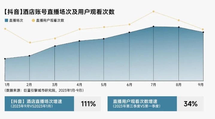 抖音里查酒店记录，探索背后的营销策略与用户需求