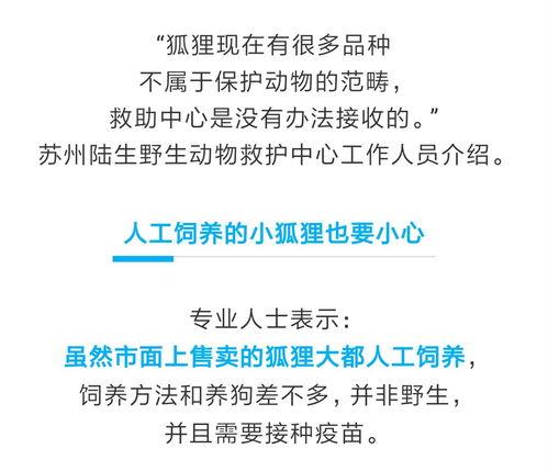 怎样悄悄查去酒店记录——不可触碰的法律红线