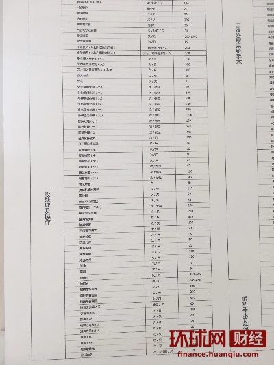 医院加盟项目费用表格范本