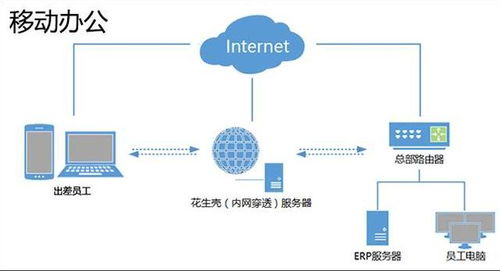 成都光伏加盟项目招标，解析加盟条件、流程及注意事项