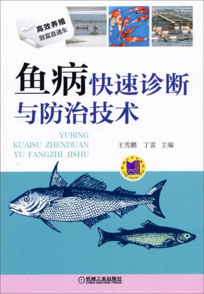 加盟打包带走鱼项目，轻松实现财富自由！