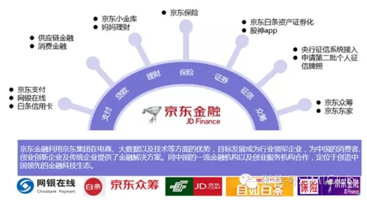 深圳京东企业金采套出来的背后，揭示金融风险与投资陷阱