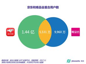 揭秘京东企业金采实体套利模式，如何利用虚拟与实体经济的协同发展实现财富增值