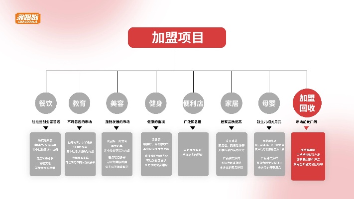 如何加盟项目管理公司赚钱