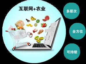 乡镇投资什么赚钱项目加盟？这或许是许多创业者心中的疑问。随着城市化的不断推进，乡镇地区也充满了商机。本文将从多个方面分析乡镇投资加盟的赚钱项目，希望能为创业者提供一些启示。