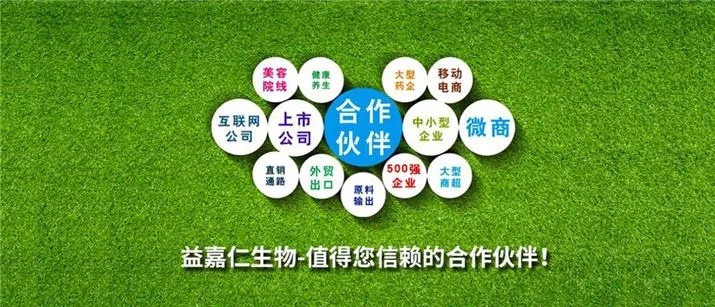 原料药项目招商加盟，探索健康产业新机遇