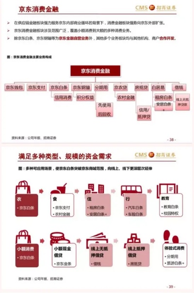 探讨支持京东企业金采套出来的平台，合规、安全与可行性分析