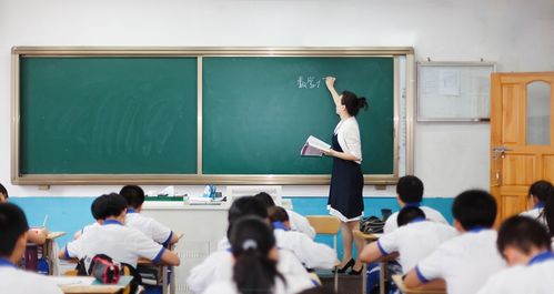 小学生加盟教育项目，助力孩子成长的新途径