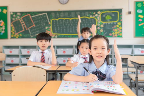 小学生加盟教育项目，助力孩子成长的新途径