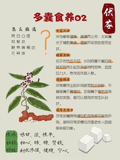 徐州茯苓项目加盟代理价格