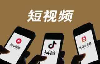 吉林抖音项目代理加盟，探索新机遇，共创美好未来