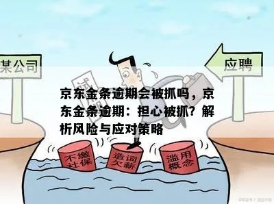 封控京东企业金采套出来怎么办——一场关于合规与风险的探讨