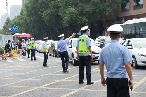 济南交警查酒店记录查询，为城市安全保驾护航