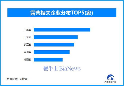 转转分期套出来24小时，揭秘新型消费模式下的金融操作技巧