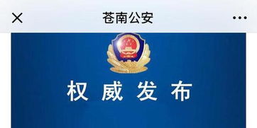 揭秘，警察局如何追踪酒店记录，保障社会安全与公正