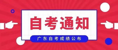 转转分期门店套出来多久到账？详细流程揭秘！