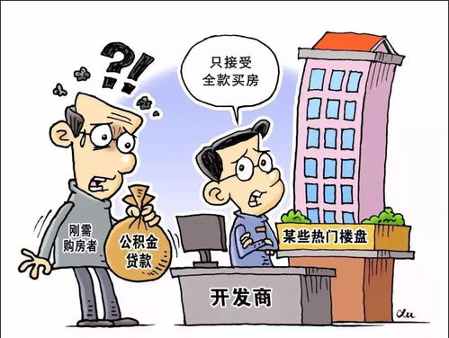 转转分期金套，真相与安全性探讨