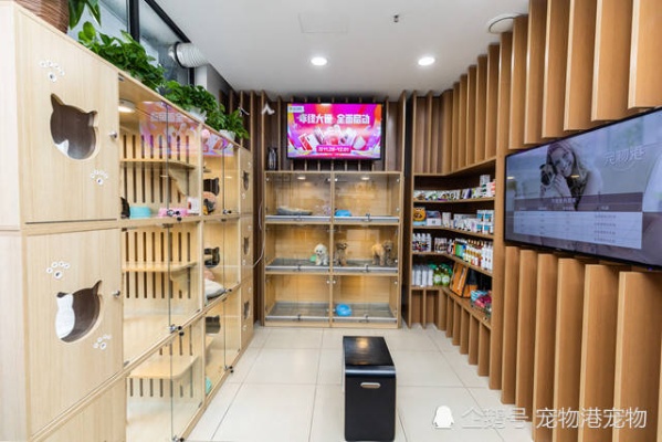 福州加盟宠物店项目设计 宠物店加盟费用标准