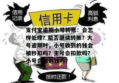 微店放心花小额套出来秒回钱，一个违法犯罪问题的探讨