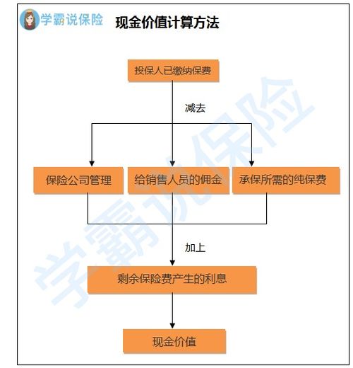 公积金取现包括公司部分吗？——揭开公积金取现的神秘面纱